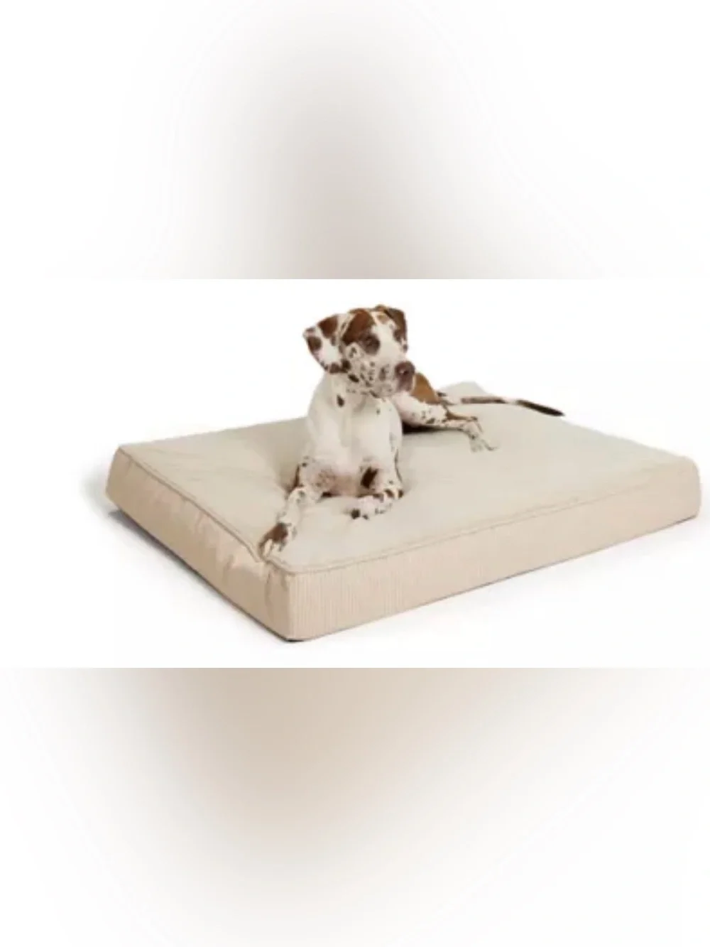 Top Paw® Orthopedic Mattress Dog Bed, Brown/Grey/Tan, size 48Lx38